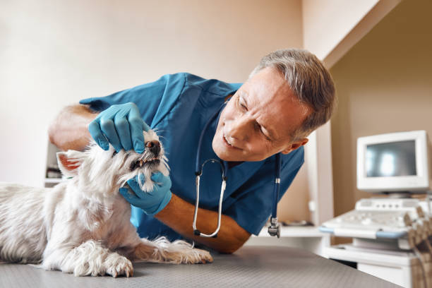 Best Emergency Treatment for Dental Infections or Abscesses in Pickerington, OH